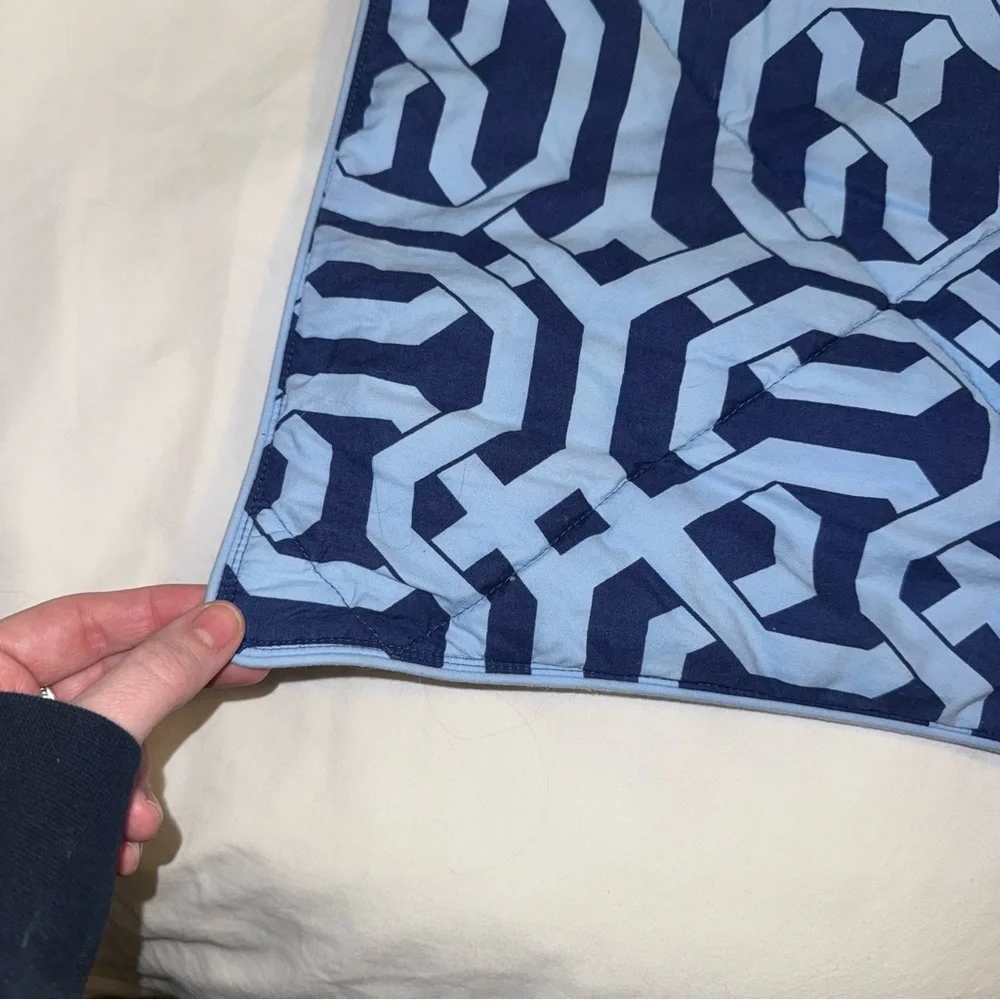 Pottery Barn Terri Trellis euro pillow sham